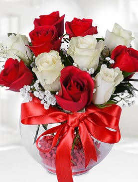 6 kırmızı gül 5 beyaz gül fanus