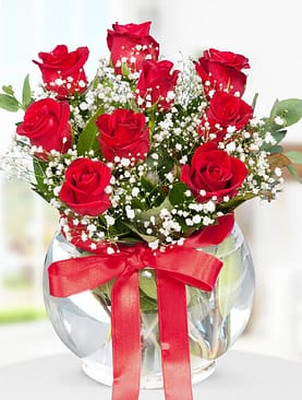 9 kırmızı gül fanus