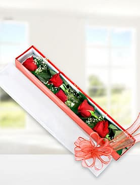 5 kırmızı gül kutu