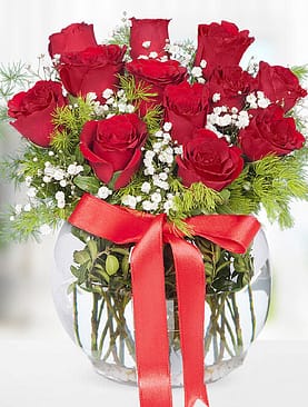 12 kırmızı gül fanus