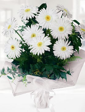 10 beyaz gerbera buket