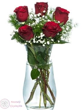Vazoda 5'li Kırmızı Gül