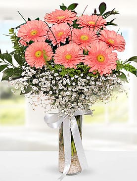 9 pembe gerbera vazo