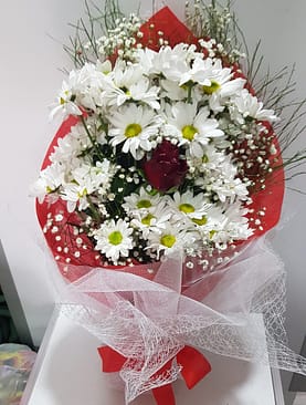 beyaz papatya tek kırmızı gül