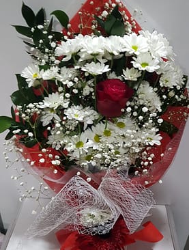 beyaz papatya tek kırmızı gül