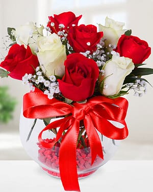 5 kırmızı gül 4 beyaz gül fanus