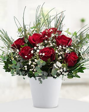 11 kırmızı gül seramik