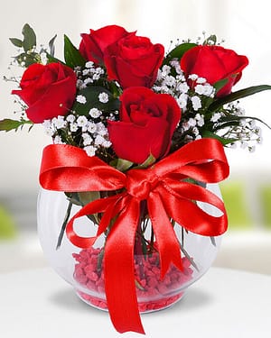 5 kırmızı gül fanus