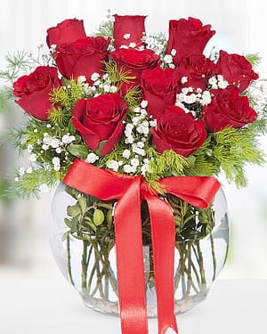 12 kırmızı gül fanus