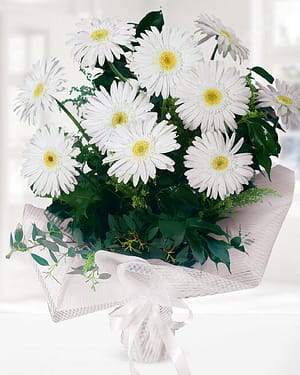 10 beyaz gerbera buket