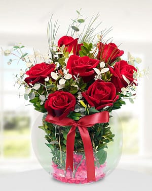 7 kırmızı gül fanus