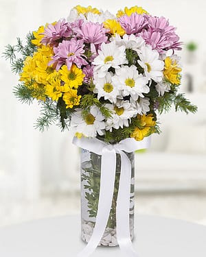 renkli papatyalar vazo