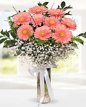 9 pembe gerbera vazo