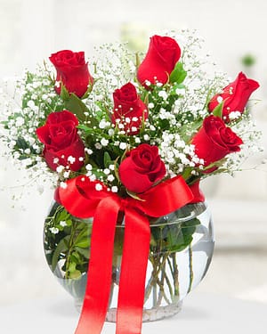 7 kırmızı gül fanus